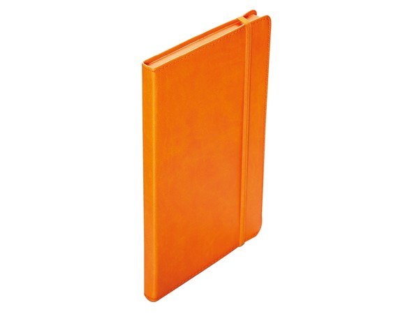 13x21 CİDE RENGE RENK TARİHSİZ AJANDA TURUNCU